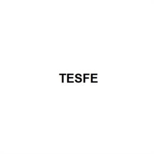 TESFE