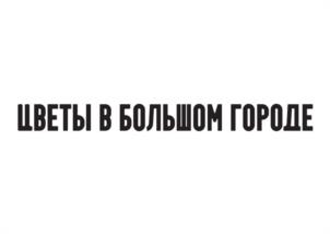 ЦВЕТЫ В БОЛЬШОМ ГОРОДЕ