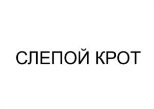 СЛЕПОЙ КРОТ