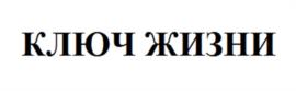 КЛЮЧ ЖИЗНИ