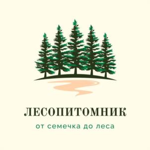 ЛЕСОПИТОМНИК от семечка до леса