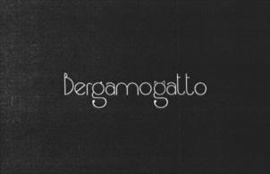 Bergamogatto