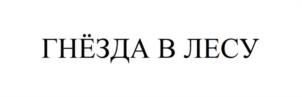 ГНЁЗДА В ЛЕСУ