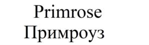 Primrose Примроуз