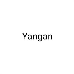 Yangan
