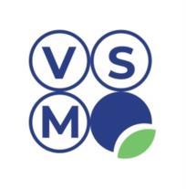VSM
