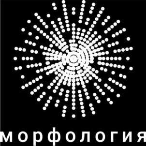 морфология