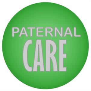 PATERNAL CARE