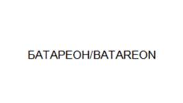 БАТАРЕОН/BATAREON