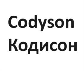 Codyson Кодисон