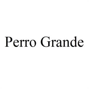 Perro Grande