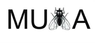 MUA