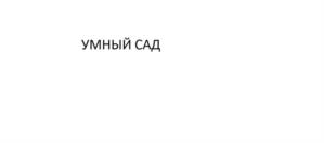 УМНЫЙ САД