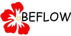 BEFLOW