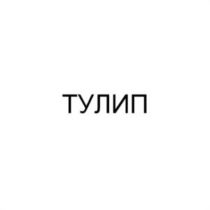 Товарный знак № 1042841