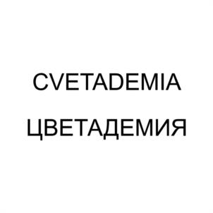 CVETADEMIA ЦВЕТАДЕМИЯ