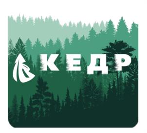 КЕДР