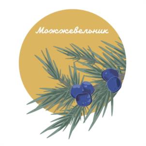 Можжежевельник