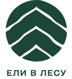 ЕЛИ В ЛЕСУ