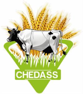 CHEDASS