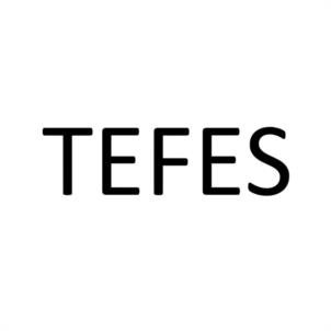 TEFES