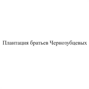 Плантация братьев Чернозубцевых