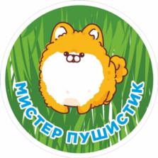 МИСТЕР ПУШИСТИК
