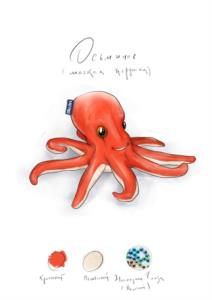 Octopus (marine life)