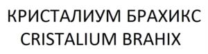 КРИСТАЛИУМ БРАХИКС CRISTALIUM BRAHIX