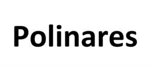 Polinares