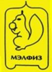 МЭЛФИЗ
