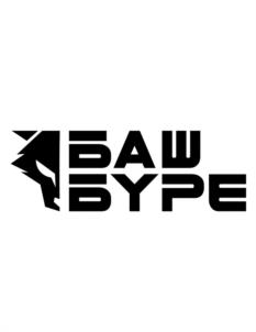 БАШ БУРЕ