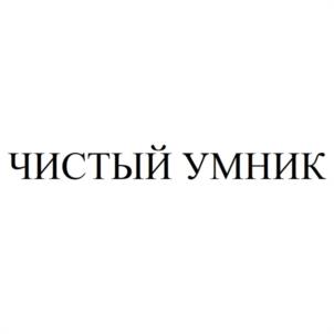 чистый умник