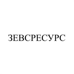 ЗЕВСРЕСУРС