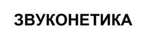 ЗВУКОНЕТИКА
