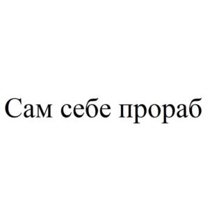 Сам себе прораб