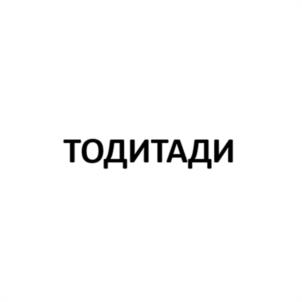 ТОДИТАДИ