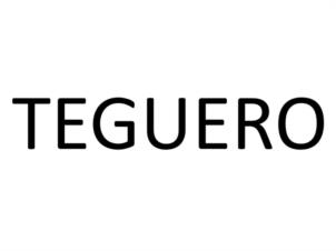 TEGUERO