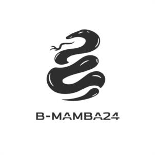 B-MAMBA24