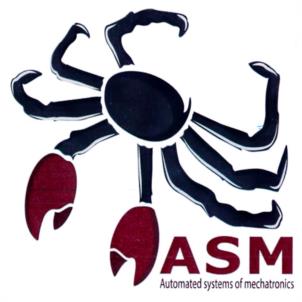 ASM Automated systems of mechatronics