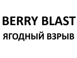 BERRY BLAST ЯГОДНЫЙ ВЗРЫВ