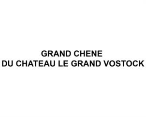 GRAND CHENE DU CHATEAU LE GRAND VOSTOCK