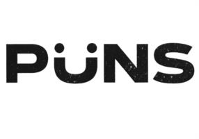 PüNS