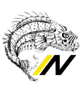 N