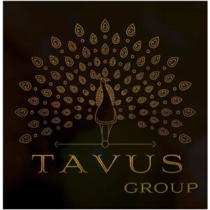 TAVUS GROUP