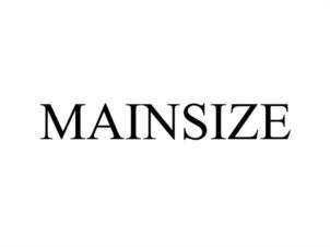 MAINSIZE
