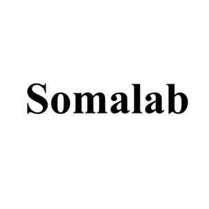 Somalab