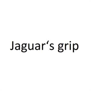 Jaguar's grip