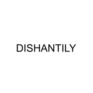 DISHANTILY