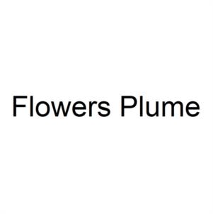 Flowers Plume